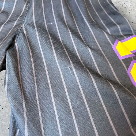 Los Angeles Lakers 23 Black Pinstripe NBA Shorts Men’s Small Elastic Waist - Picture 9 of 9